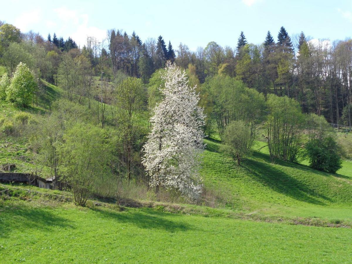 Apartement GYARMATY Sankt Johann in Tirol Buitenkant foto